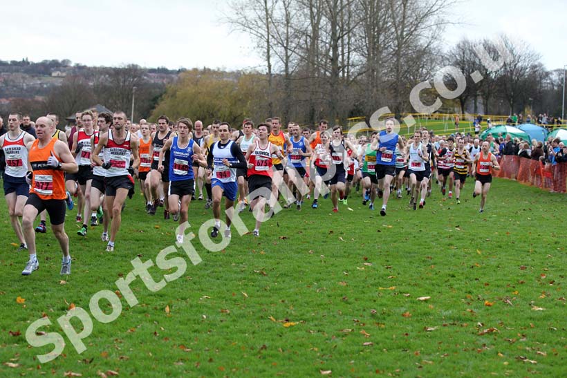 Red start, North East Harrier League.
